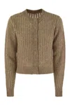 Peserico Tricot Cardigan With Micro-sequins In Brown