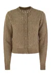 Peserico Tricot Cardigan With Micro-sequins In Brown
