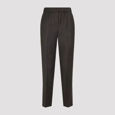 Peserico Virgin Wool Pants In Brown