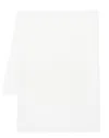 Peserico Metallic-threading Detailed Scarf In White
