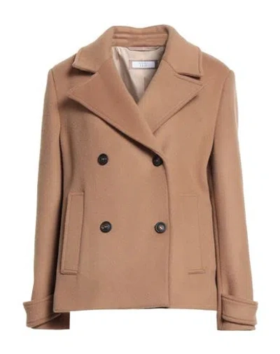 Peserico Woman Coat Camel Size 8 Wool, Polyamide In Neutral
