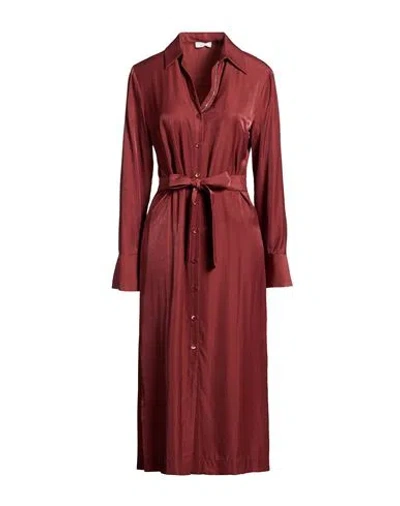 Peserico Woman Midi Dress Chocolate Brown Size 2 Viscose, Polyester In Red