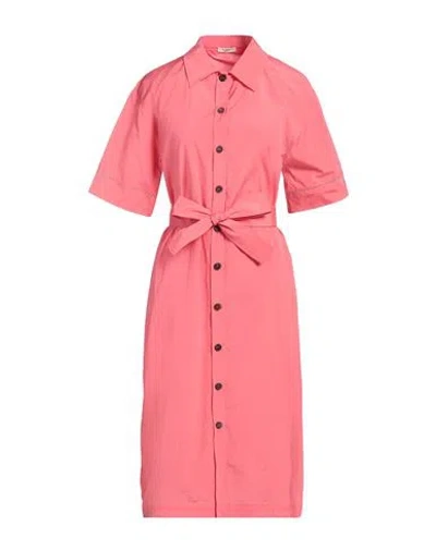 Peserico Woman Midi Dress Coral Size 14 Cotton, Polyester In Red