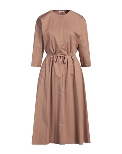 Peserico Woman Midi Dress Light Brown Size 6 Cotton, Elastane In Pink