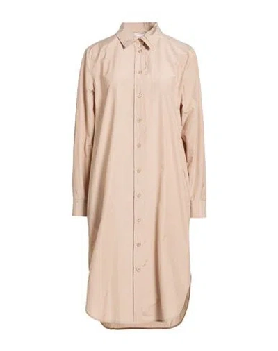 Peserico Woman Midi Dress Light Brown Size 6 Cotton, Polyester In Gray
