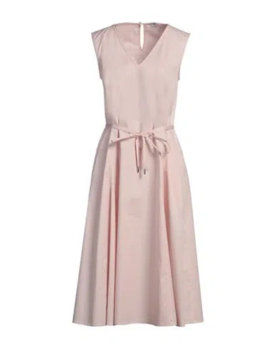 Peserico Easy Woman Midi Dress Pink Size 10 Cotton, Elastane