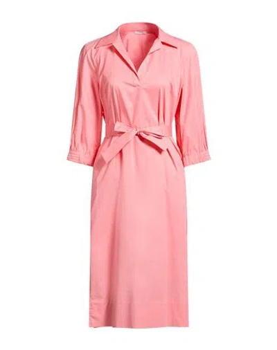 Peserico Woman Midi Dress Pink Size 6 Cotton, Elastane