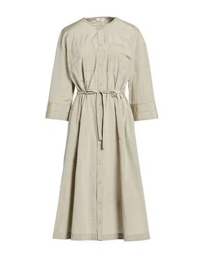 Peserico Woman Midi Dress Sage Green Size 6 Cotton, Polyester In Gray