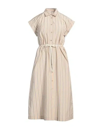 Peserico Woman Midi Dress Sand Size 6 Cotton, Polyester In Brown