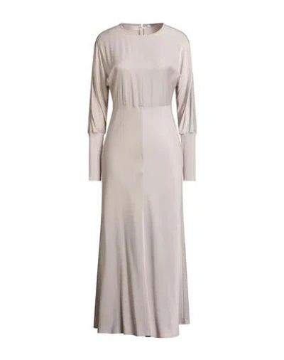 Peserico Woman Midi Dress Taupe Size 12 Viscose, Polyester, Virgin Wool In Gray