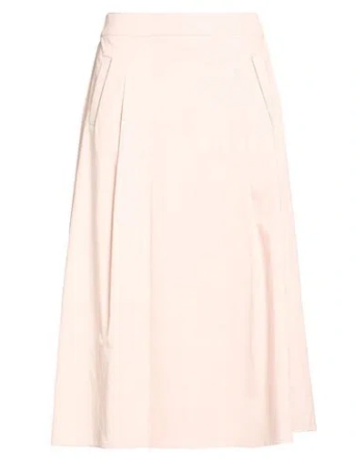 Peserico Woman Midi Skirt Blush Size 0 Cotton, Elastane In Pink