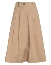 Peserico Woman Midi Skirt Sand Size 14 Cotton, Elastane In Beige