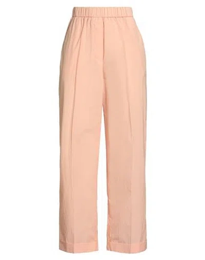 Peserico Woman Pants Apricot Size 6 Cotton, Polyester In Orange