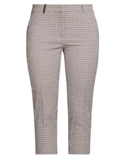 Peserico Woman Pants Blush Size 10 Cotton, Elastane In Pink