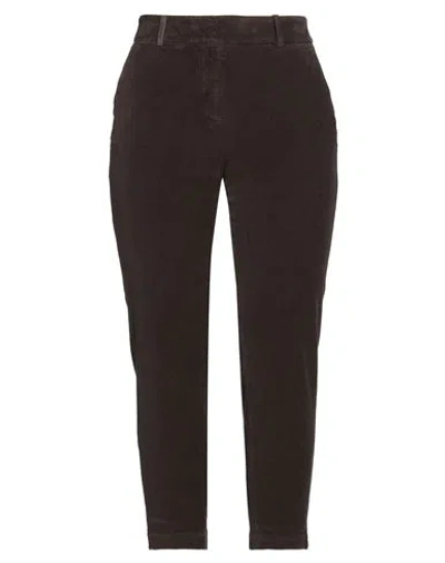 Peserico Woman Pants Brown Size 10 Cotton, Elastane