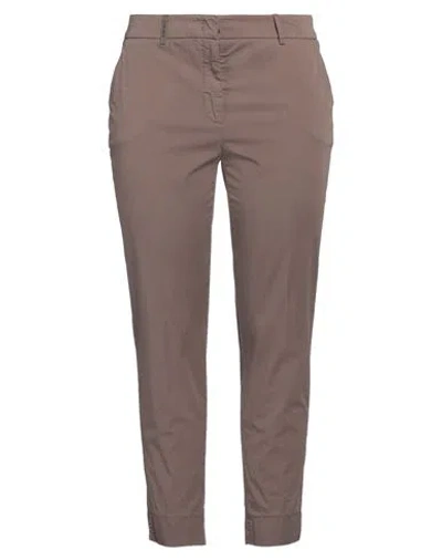 Peserico Woman Pants Brown Size 16 Cotton, Elastane