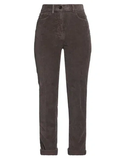 Peserico Woman Pants Dark Brown Size 8 Cotton, Elastane