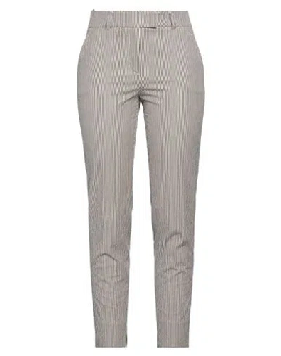 Peserico Woman Pants Dark Brown Size 12 Cotton, Nylon, Elastane