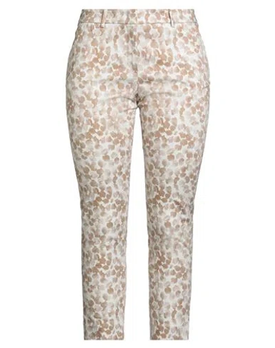 Peserico Woman Pants Light Brown Size 10 Cotton, Elastane In Multi