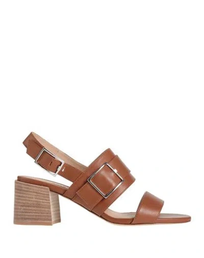 Peserico Woman Sandals Brown Size 7 Leather