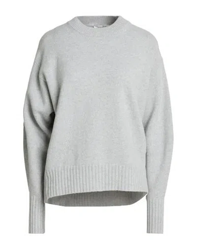 Peserico Woman Sweater Light Grey Size 6 Wool, Cashmere, Polyester In Gray