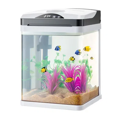 Pet Ap Fish Tank Aquarium, 2 Gallon Led Square Ultra-clear Glass Tank Temperature Monitoring Adjustable 7 C In Transparent