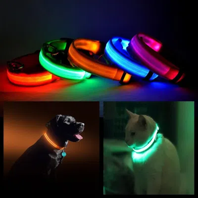 Pet Ap Led Pet Safety Halo Style Collar - Medium, Red In Multi