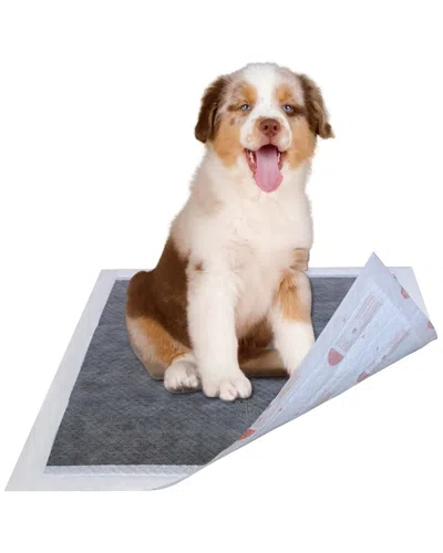Pet Life 55 Grams Ultra Absorbent Charcoal Odor Eliminating Anti-skid And Anti-bacterial Diabetic Pr In Gray