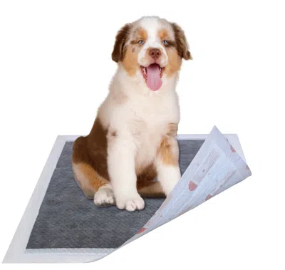 Pet Life 55 Grams Ultra Absorbent Charcoal Odor Eliminating Premium Dog Training Pads In Gray