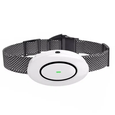 Pet Life Barksafe Led 1-to-3 Dog 1,200 Foot Range 7-level Vibration And Sound Training Dog Collar Additional  In Gray
