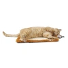 Pet Life Cat Scratcher In Brown