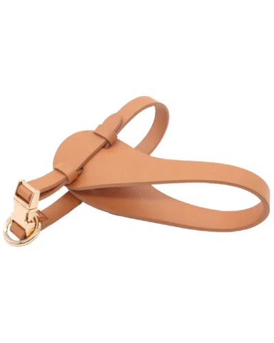 Pet Life Ever Craft Boutique Series Adjustable D In Brown