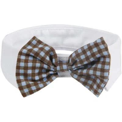 Pet Life Fashionable And Trendy Designer Dog Bowtie In Multi