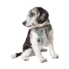 Pet Life Fidomite' Mesh Reversible And Breathable Adjustable W/ Designer Neck Tie Dog Harness In Multi