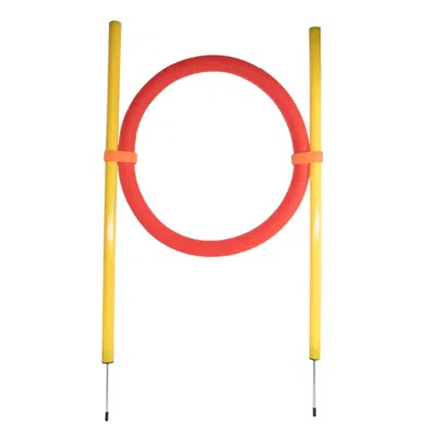 Pet Life 'hoop Hopper' Collapsible Travel Folding Outdoor Performance Agility Pet Dog Trainer Training Kit In Red
