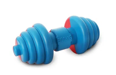 Pet Life 'iron Wag' Durable Chew And Fetch Tpr Waterproof Floating Dog Toy In Multi