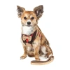 Pet Life Luxe 'dapperbone' 2-in-1 Mesh Reversed Adjustable-leash W/ Fashion Bowtie Dog Harness In Brown