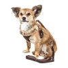 Pet Life Luxe 'furracious' 2-in-1 Mesh Reversed Adjustable-leash W/ Removable Fur Collar Dog Harness In Brown