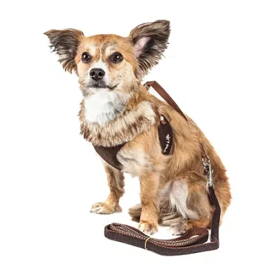 Pet Life Luxe 'furracious' 2-in-1 Mesh Reversed Adjustable-leash W/ Removable Fur Collar Dog Harness In Brown