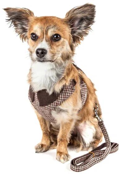 Pet Life Luxe 'houndsome' 2-in-1 Adjustable Designer Dog Harness And Leash In Multi
