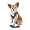 Pet Life Luxe 'pom Draper' 2-in-1 Mesh Reversed Adjustable-leash W/ Pom-pom Bowtie Dog Harness In Blue