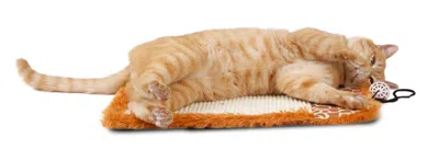 Pet Life 'scrape-away' Sisal And Jute Hanging Carpet Cat Scratcher Toy In Brown