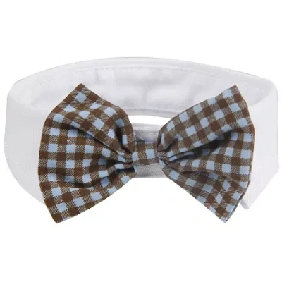 Pet Life The  Fashionable And Trendy Dog Bowtie In Multi