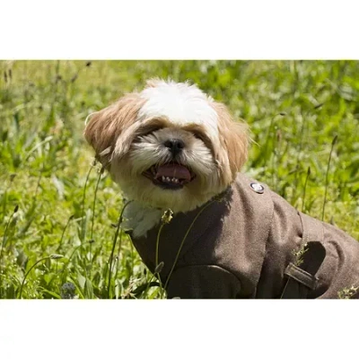 PET LIFE THE PET LIFE GALORE BACK-BUCKLED FASHION WOOL PET COAT