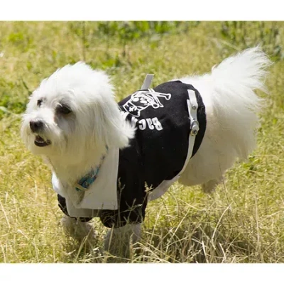 Pet Life The  Varsity-buckled Collared Pet Coat In Black