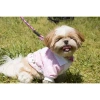 Pet Life The  Varsity-buckled Collared Pet Coat In Pink