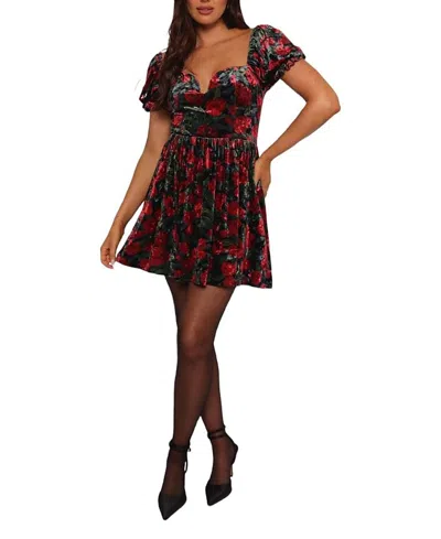 Petal And Pup Anders Mini Dress In Multi