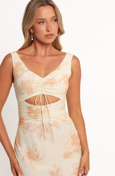 Petal And Pup Petal & Pup Orin Sleeveless Floral Print Dress In Multi