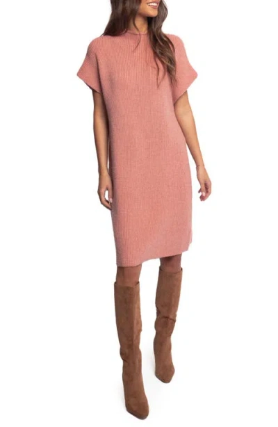 Petal And Pup Petal & Pup Wright Mock Neck Sweater Dress In Pink