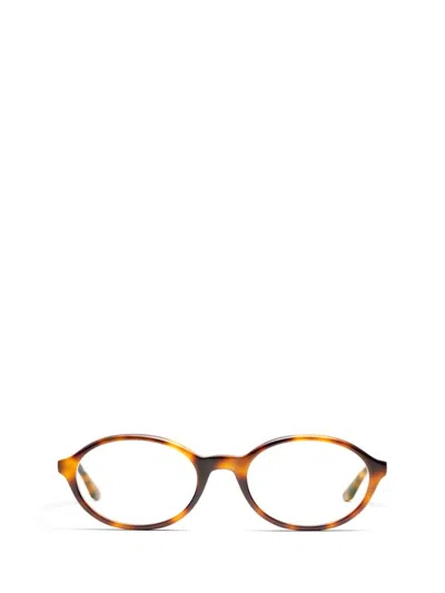 Peter And May Eyeglasses In Brown